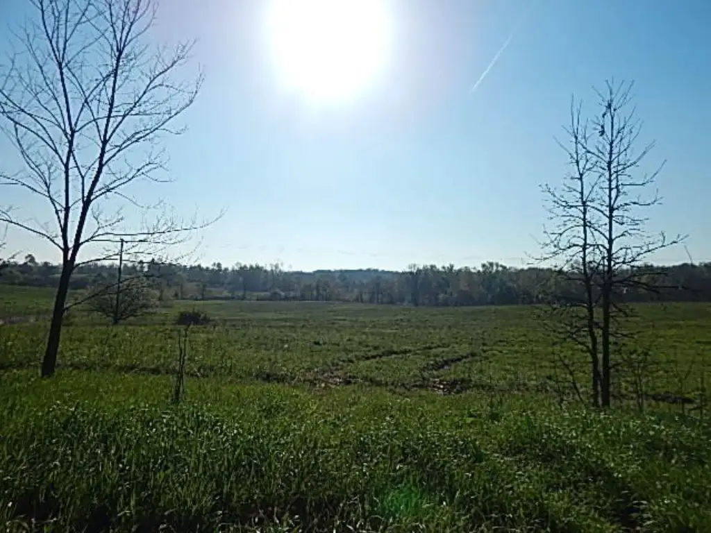Picture 8