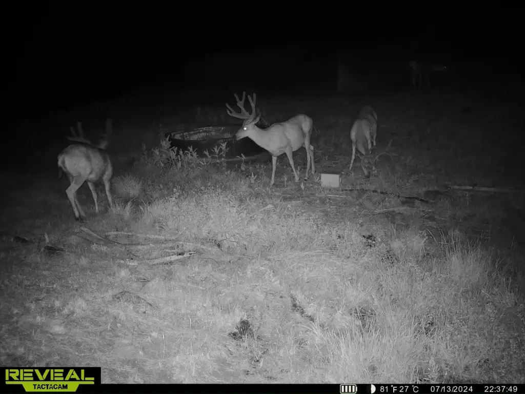 Picture 6