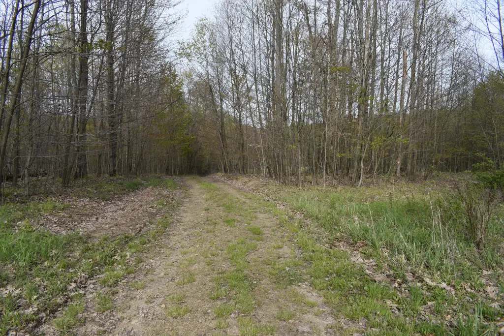 Picture 7