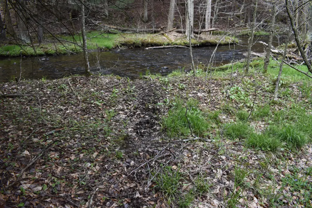 Picture 14