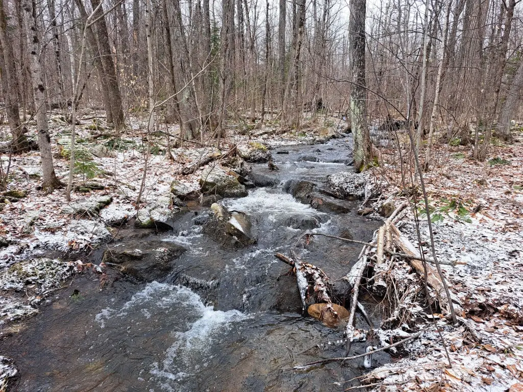 Picture 18