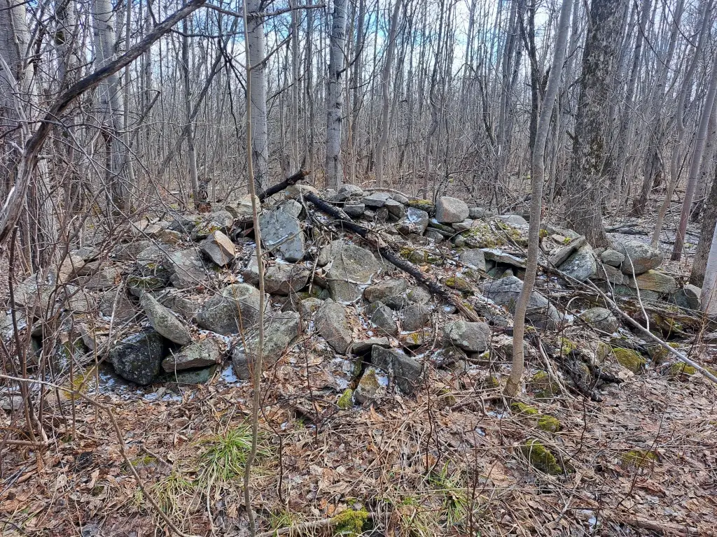 Picture 26