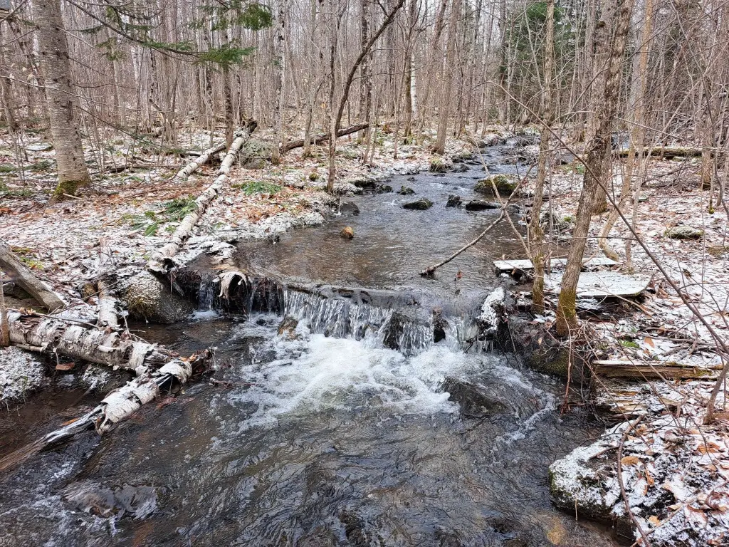 Picture 31