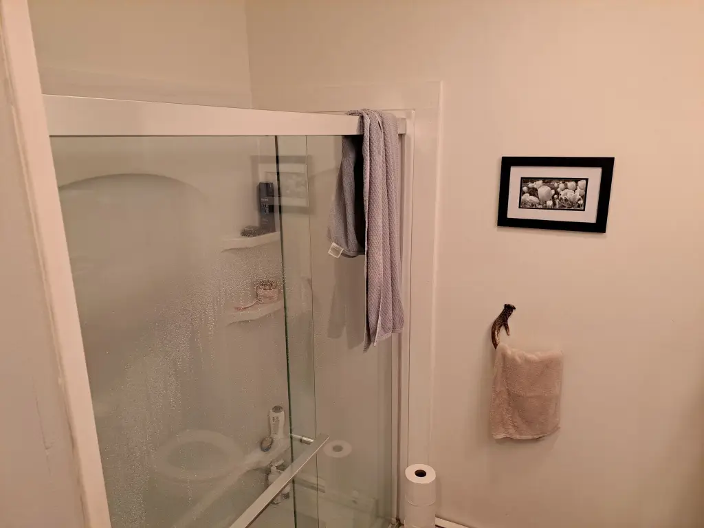 Picture 17