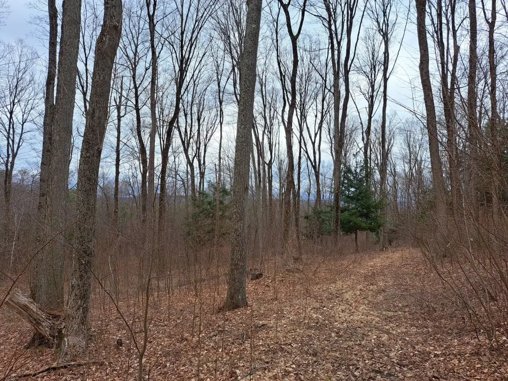 Picture 6