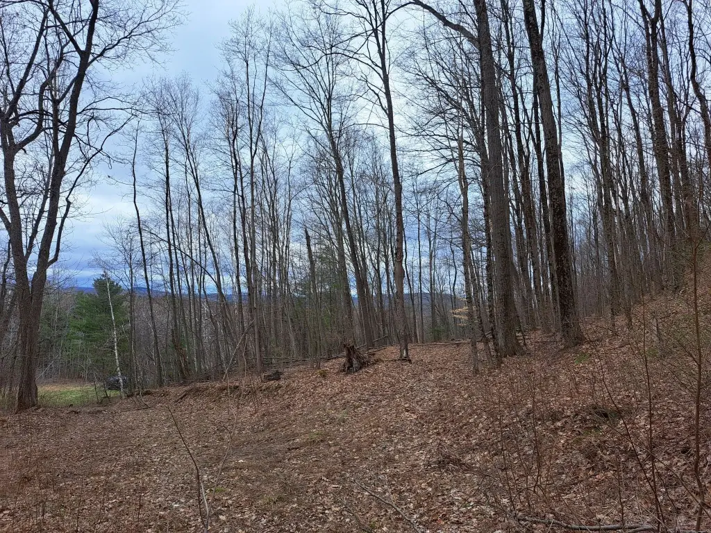 Picture 15