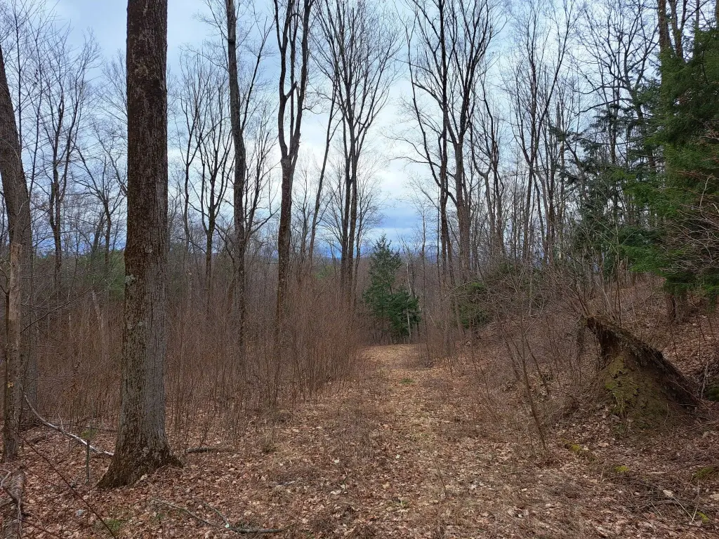 Picture 4