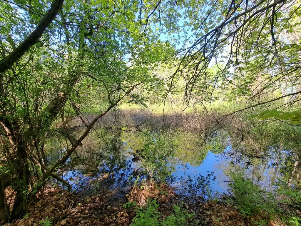 Picture 24