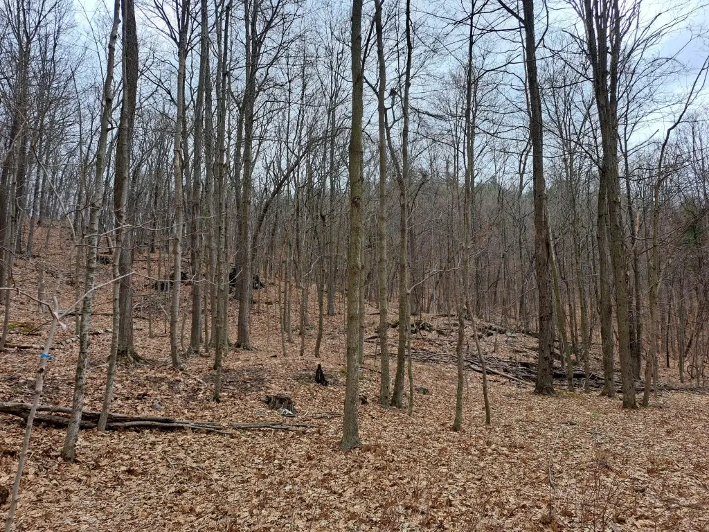 Picture 33