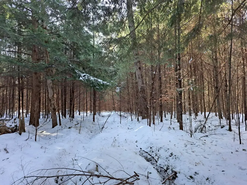 Picture 6