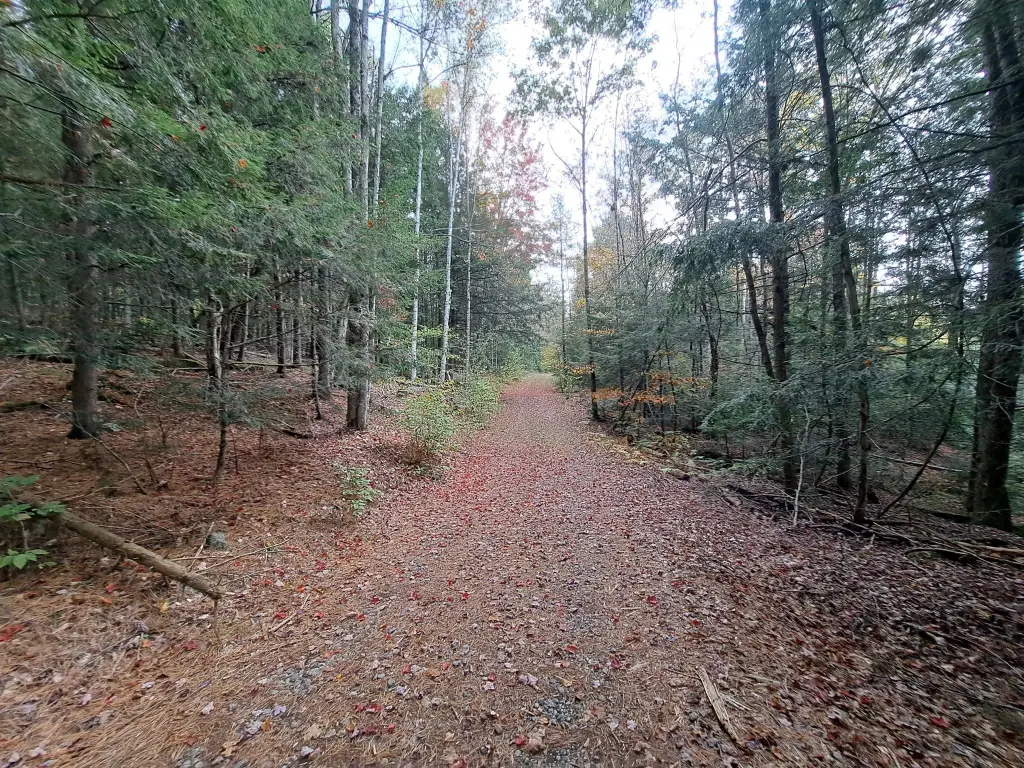 Picture 34