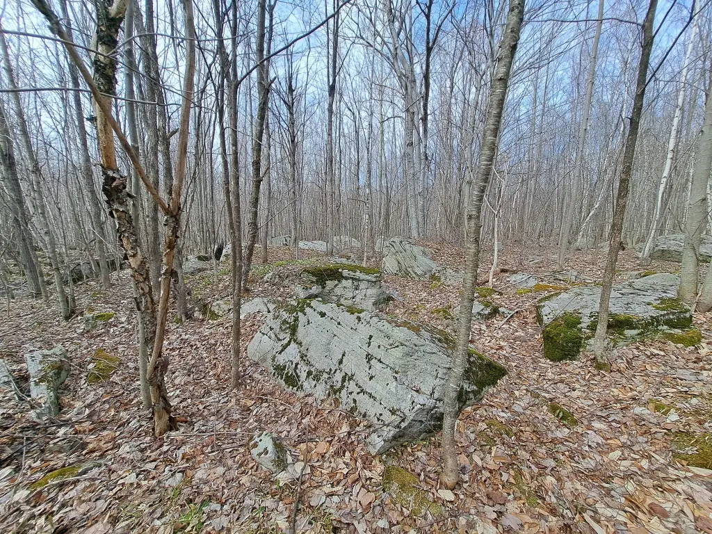 Picture 34