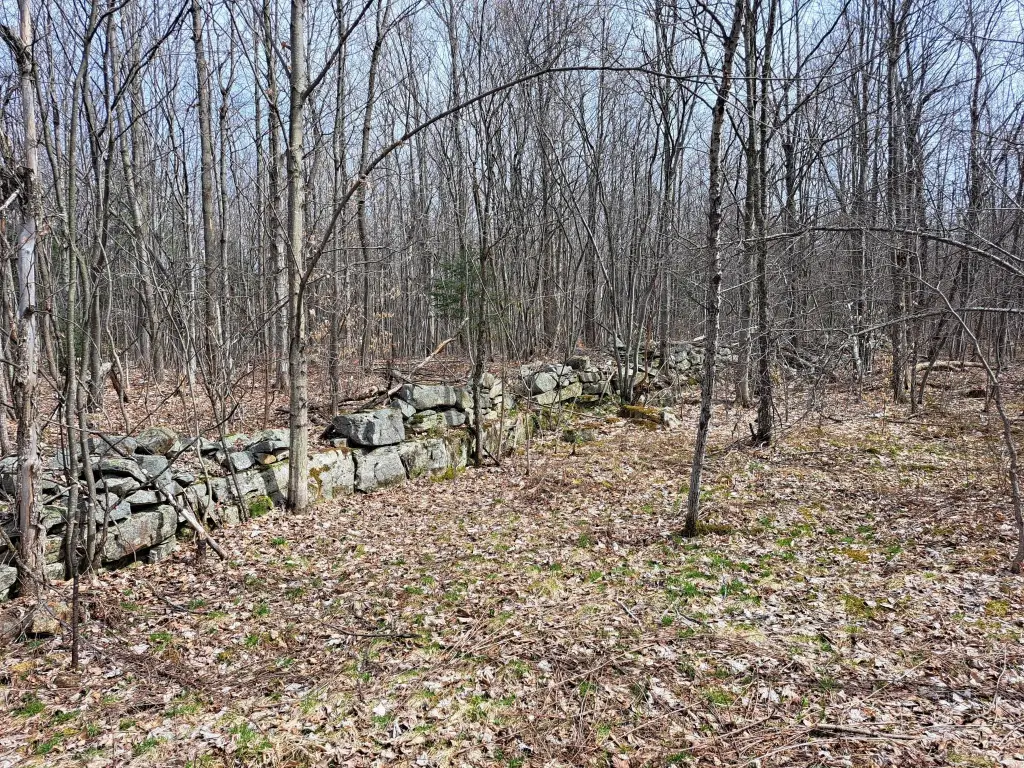 Picture 8