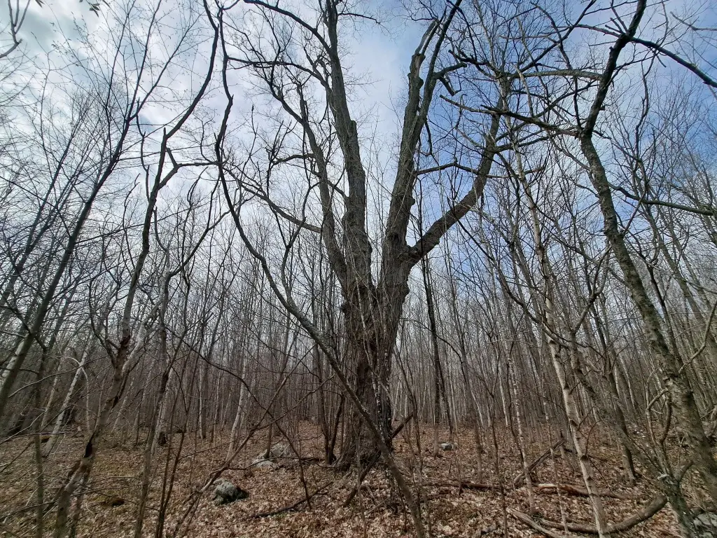 Picture 35