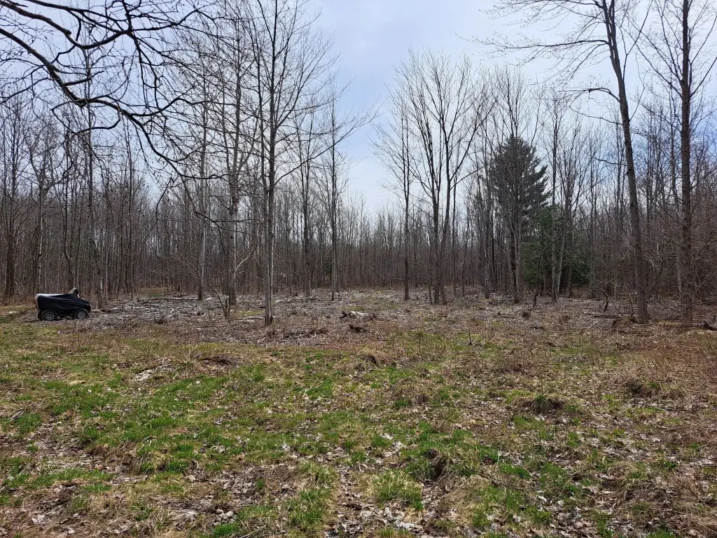 Picture 13