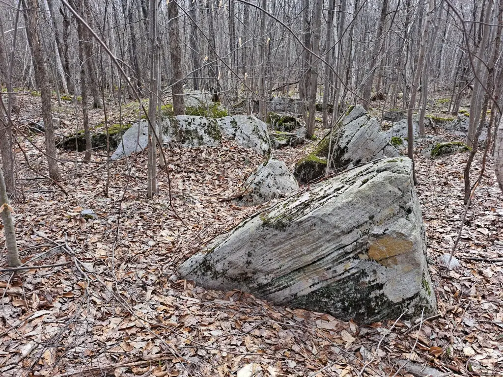 Picture 36