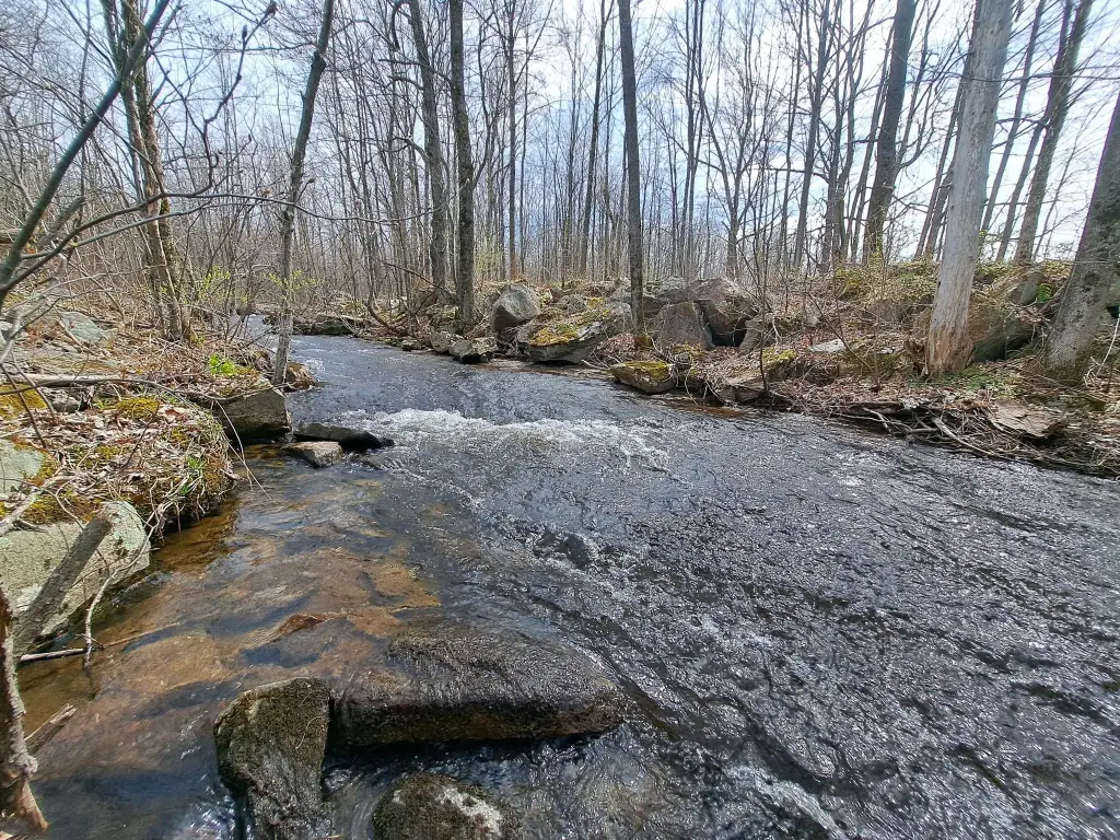 Picture 7