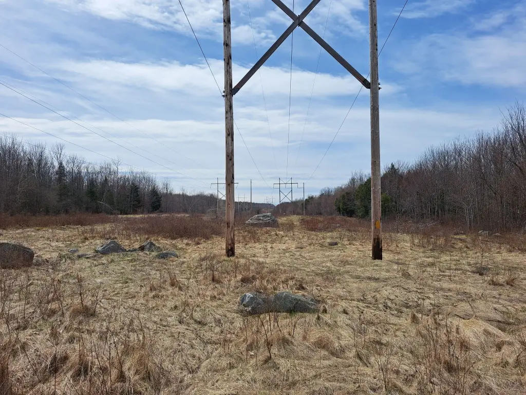 Picture 17
