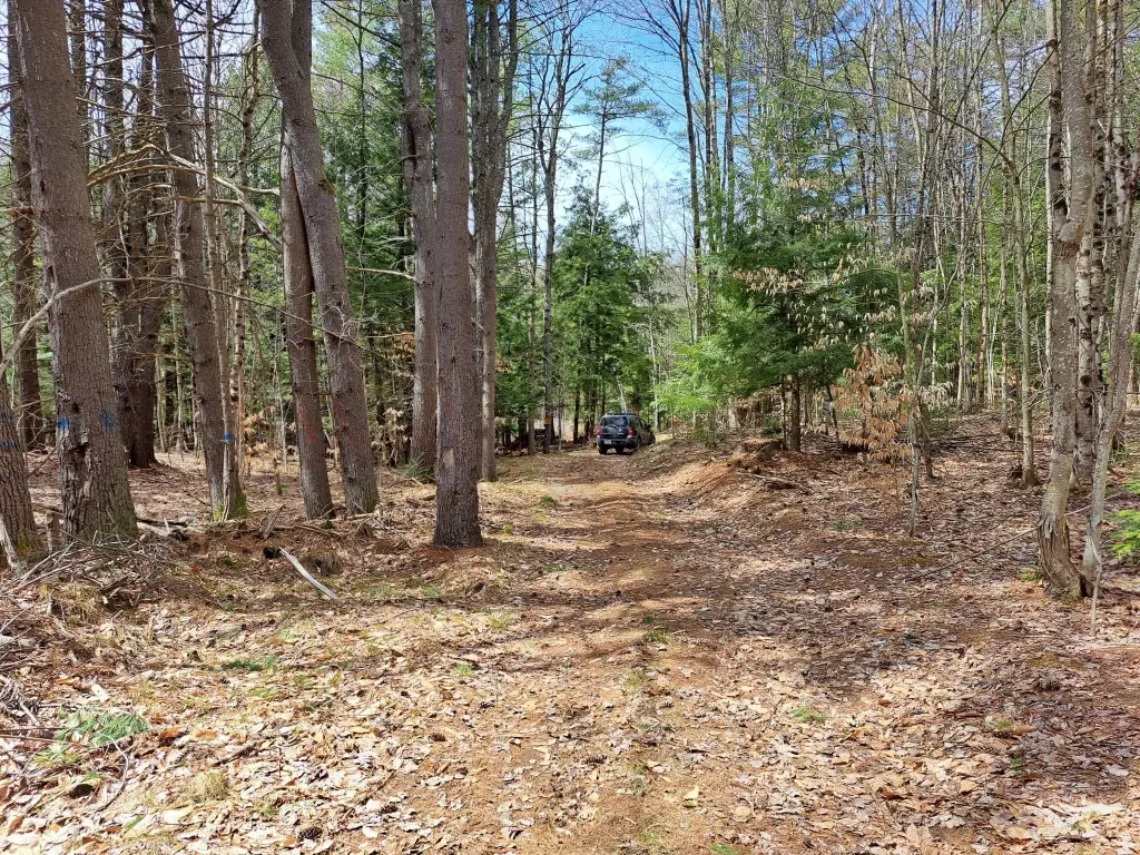Picture 22