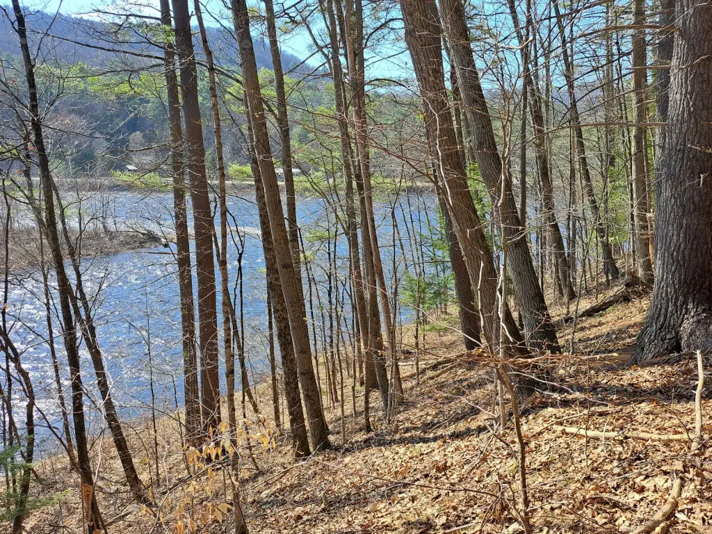 Picture 19