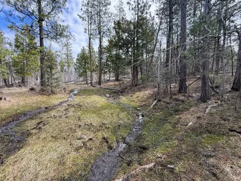60 Acres Vacant Recreation Land