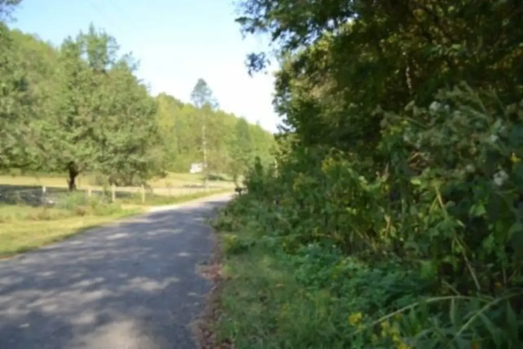 Picture 13