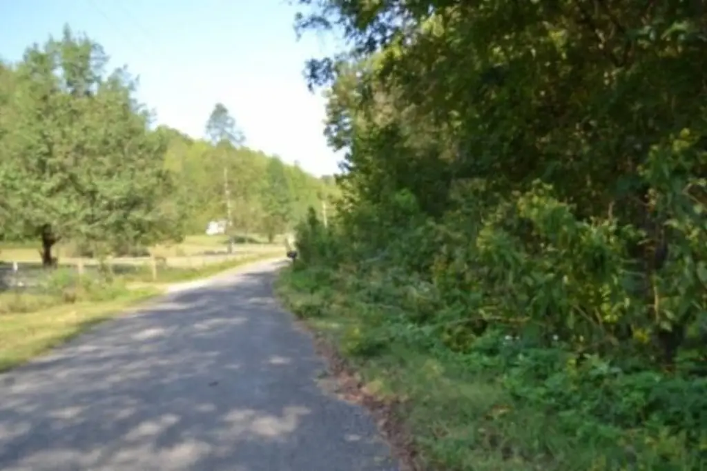 Picture 14