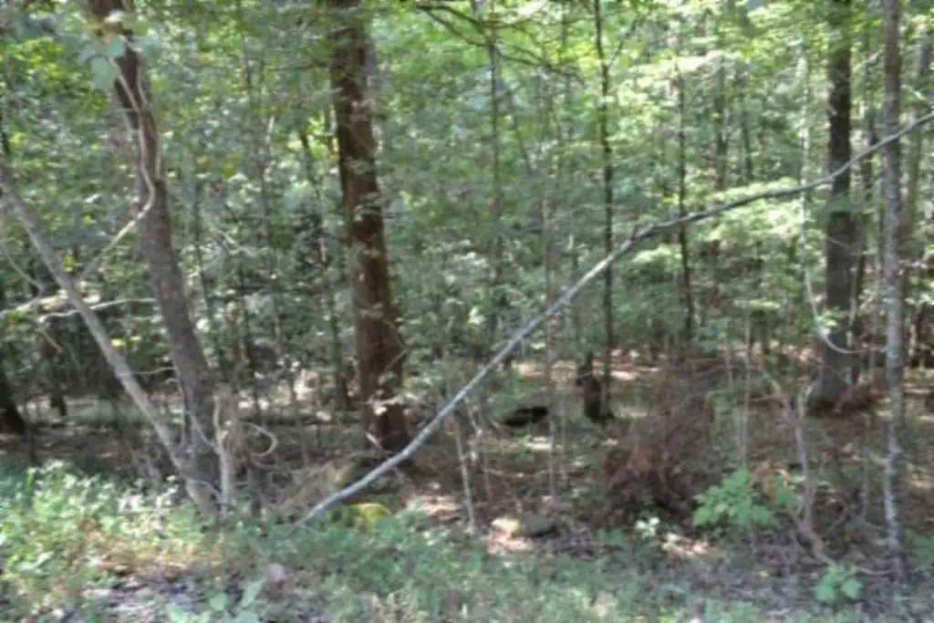 Picture 16