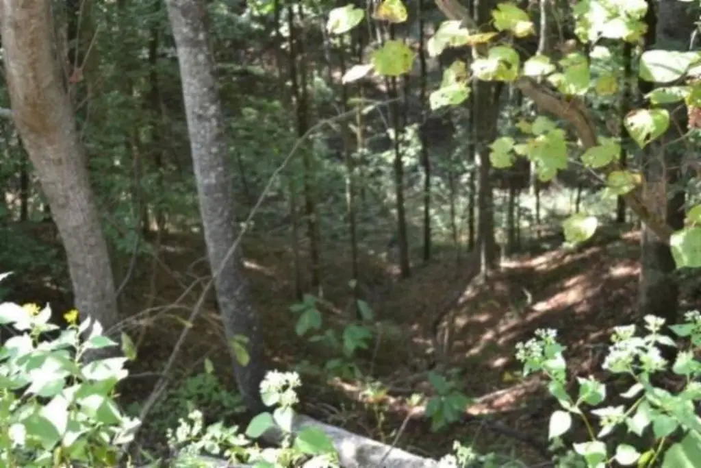 Picture 15