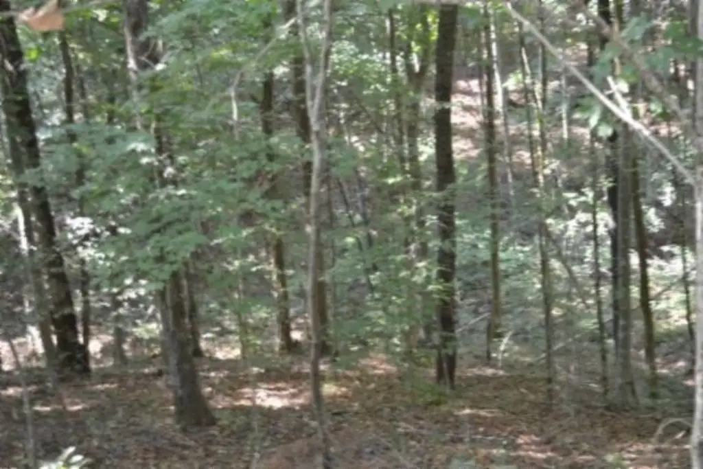 Picture 18