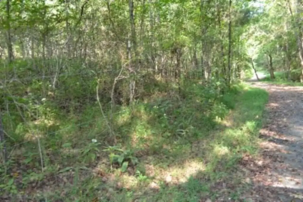 Picture 19