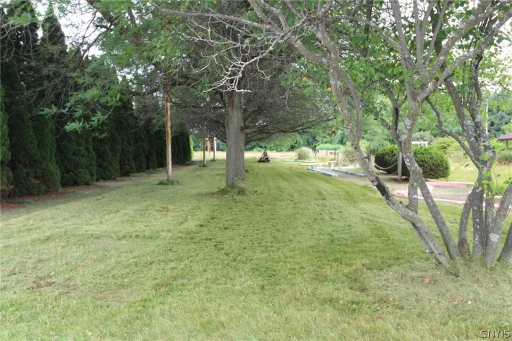 Picture 11
