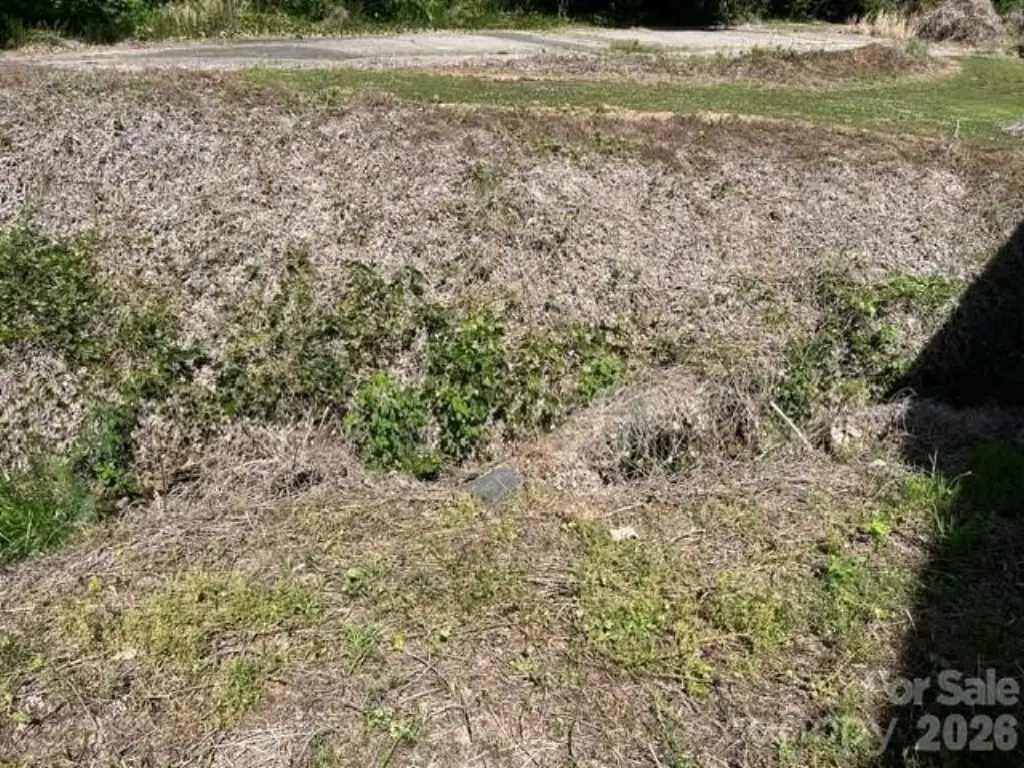 Picture 16