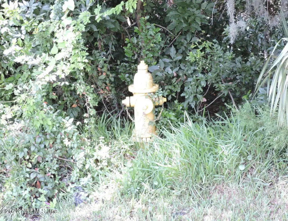 Picture 2