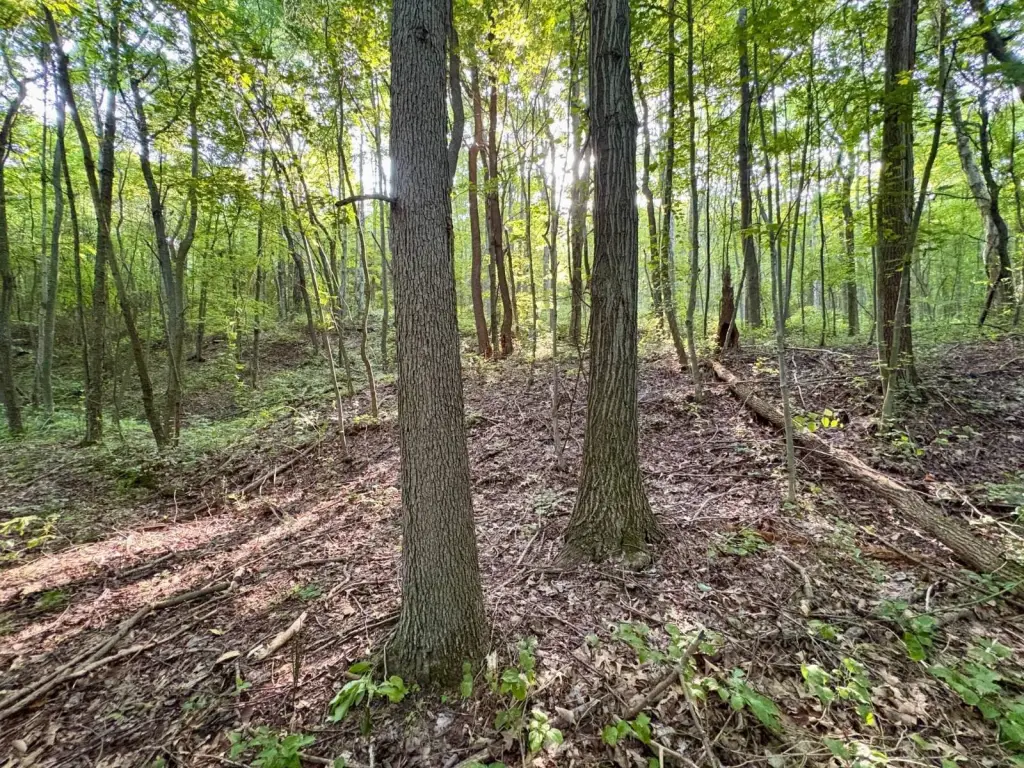 Picture 4
