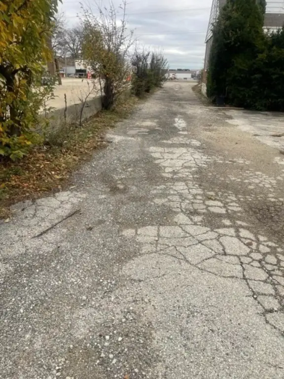 Picture 5