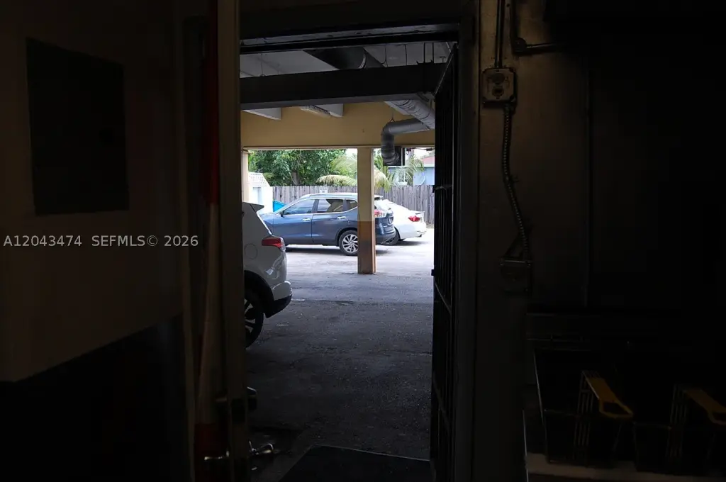 Picture 11