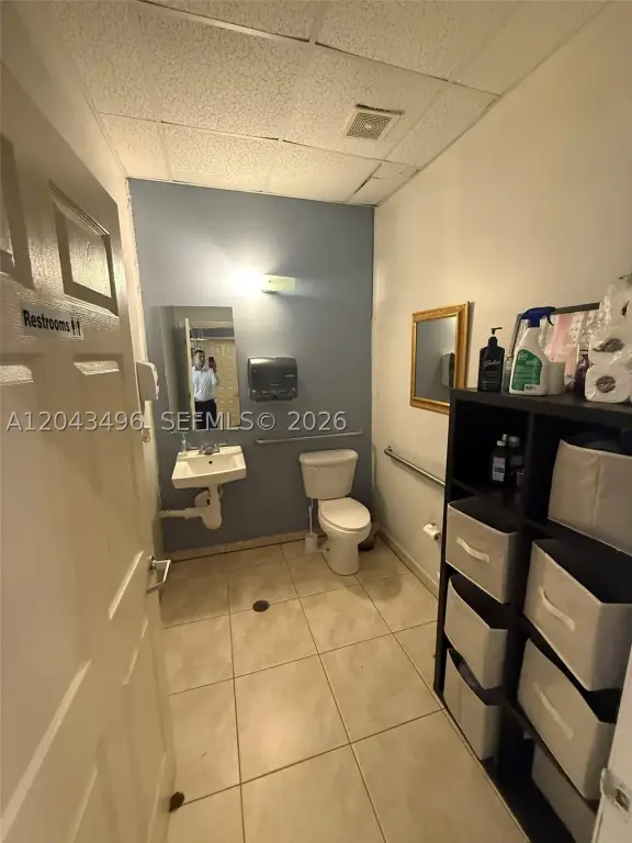 Picture 5