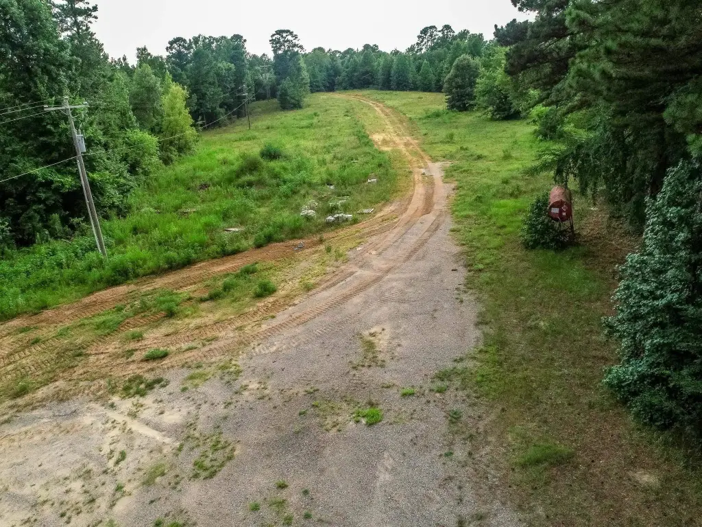 Picture 3