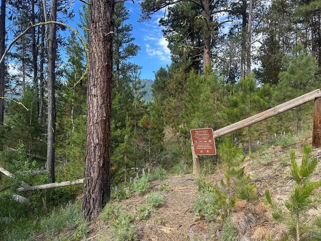 Picture 23