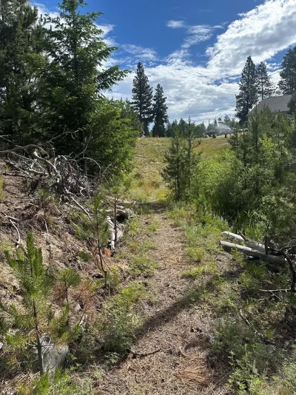 Picture 22