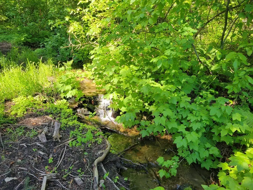 Picture 6