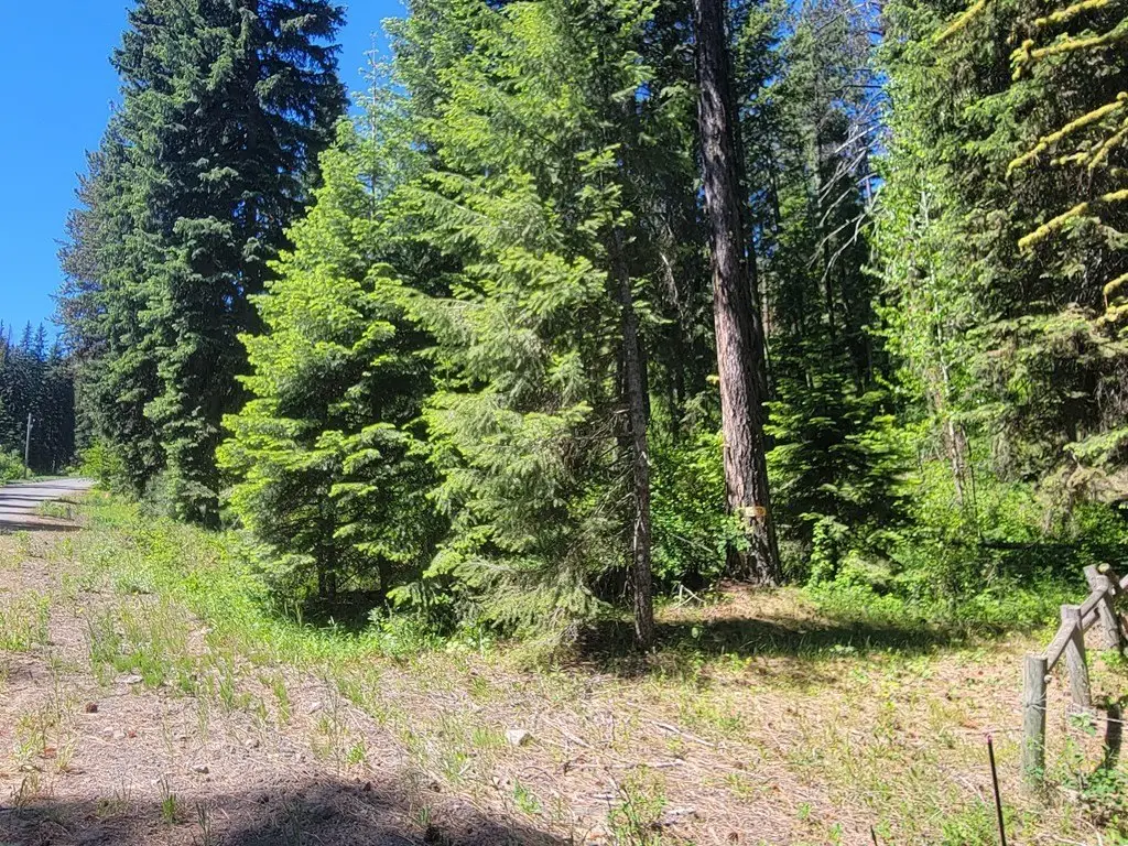 Picture 15