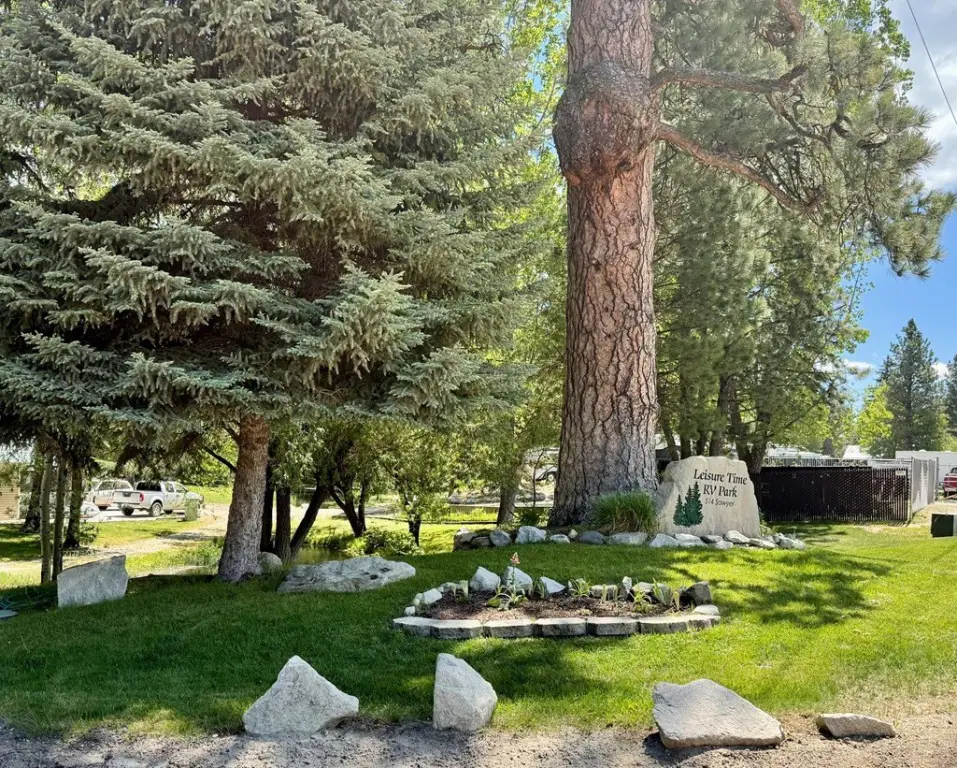 Picture 43