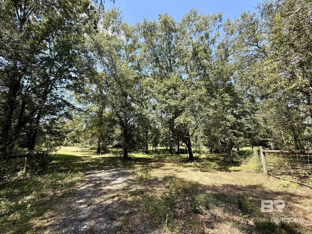 Picture 26