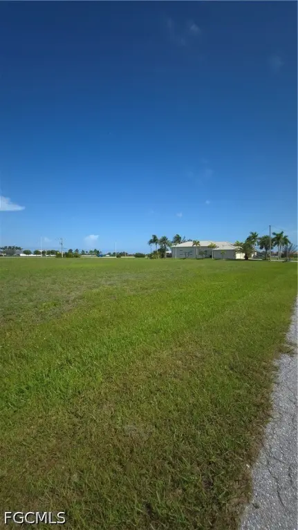 Picture 6