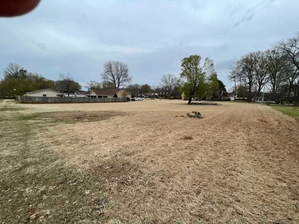 Picture 17