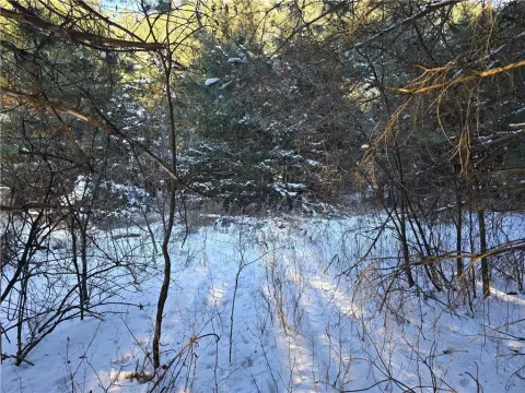 Wooded Land in Chetek, WI