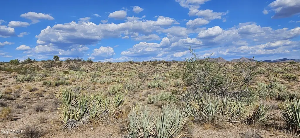 Picture 19