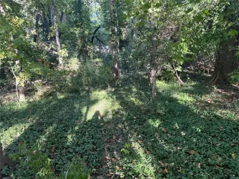 Residential Lot in Maple Park